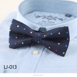 LJ013