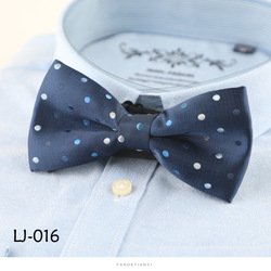 LJ016
