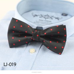 LJ019