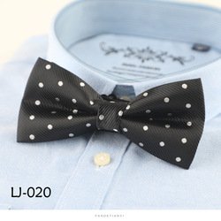 LJ020