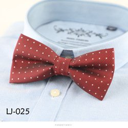 LJ025