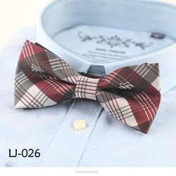 LJ026