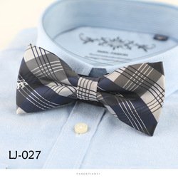 LJ027