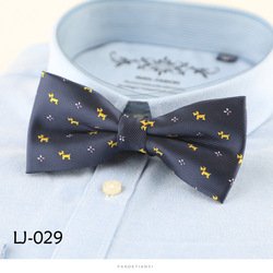 LJ029