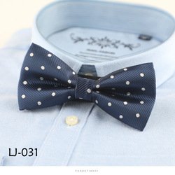 LJ031