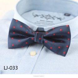 LJ033