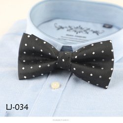 LJ034