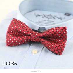 LJ036