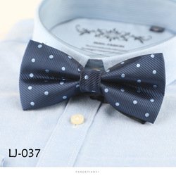 LJ037