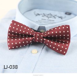 LJ038