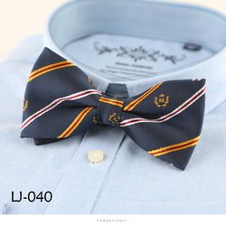 LJ040