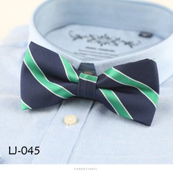 LJ045