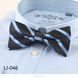 LJ046