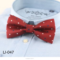 LJ047