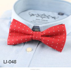 LJ048