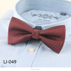 LJ049