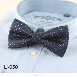 LJ050