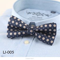 LJ005