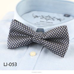 LJ053