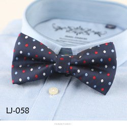 LJ058