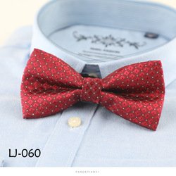 LJ060
