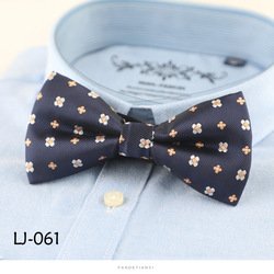 LJ061