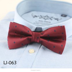 LJ063