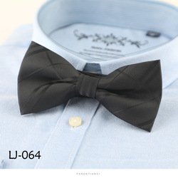 LJ064