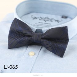 LJ065
