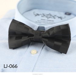 LJ066