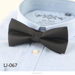 LJ067