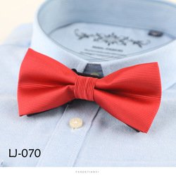 LJ070