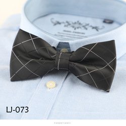 LJ073