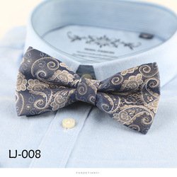 LJ008