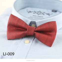 LJ009