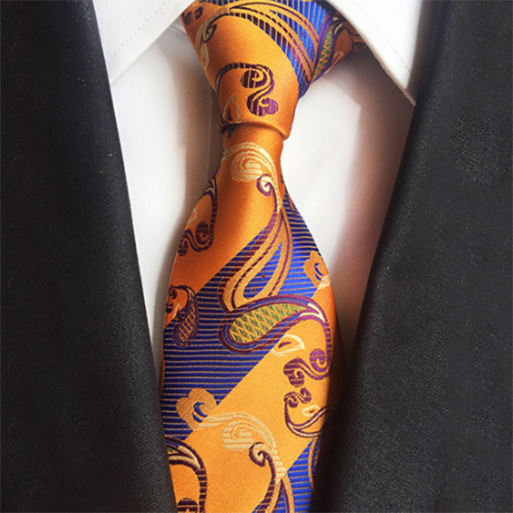 China Manufacturer Necktie Men Polyester Paisley Floral Polyester Ties