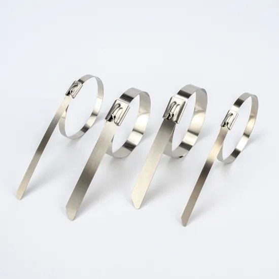 Professional Self Locking Stainless Steel Cable Zip Ties