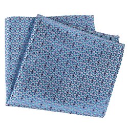 Blue-U51355-1