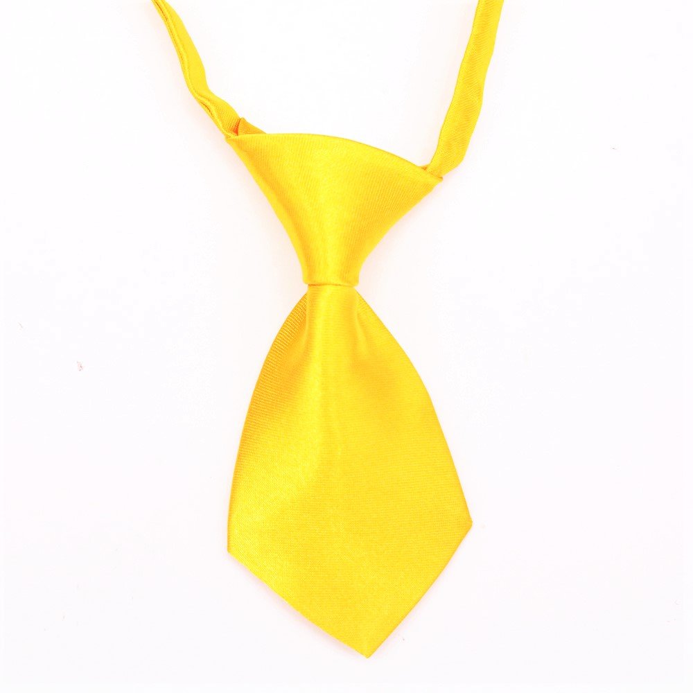 Stocked wholesale plain dog necktie