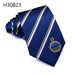 H30823