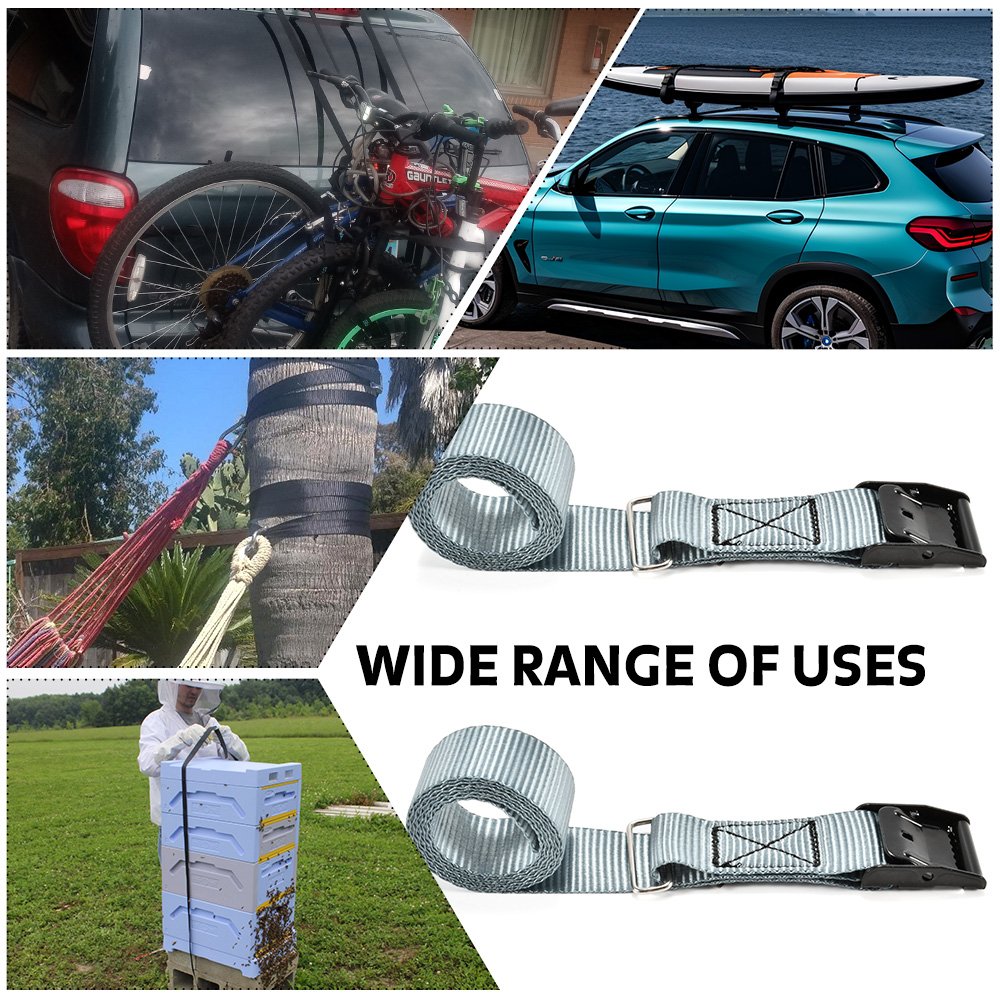 Well-made Custom Logo Black E-Coated Cam Buckle Strap Tie Down Straps Lashing Belts Ratchet Tie Downs with metal ring