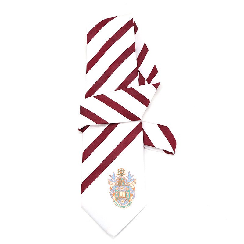 Free design Custom tie necktie can put logo or brand on the tie