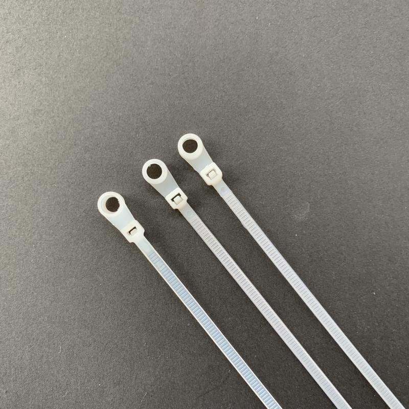 Mounted Head Hole Cable Ties