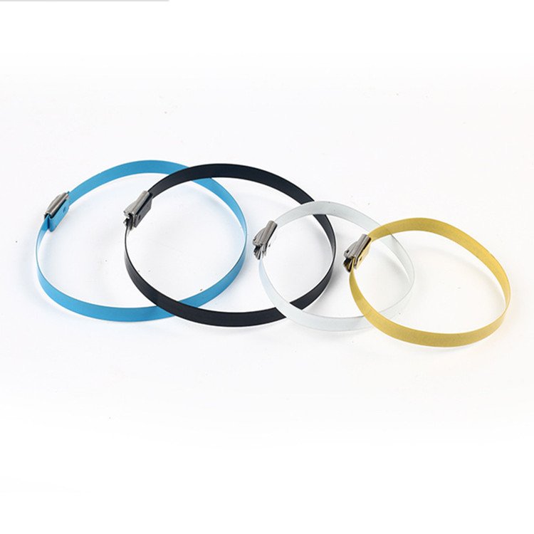 Stainless Steel Cable Ties 8X500MM Colorful steel tie 100pcs/bag