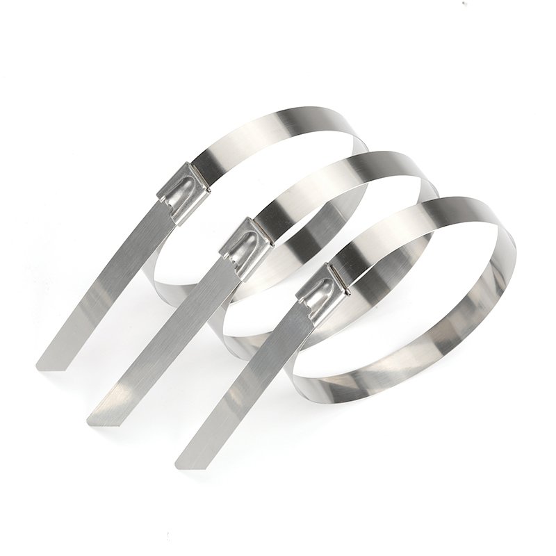 0.25mm*7.9mm Series 201/304/316 Material Self Locking Tensioner Tool Stainless Steel Cable Tie