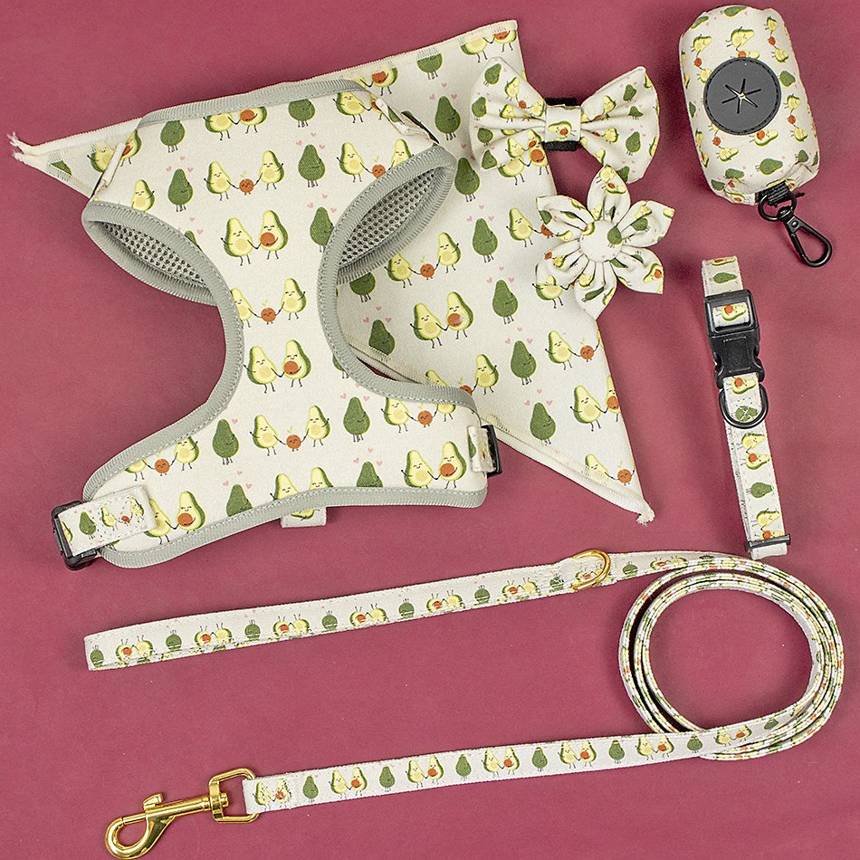 Pet premium accessories cotton New manufacturing flower pattern dog leash metal accessories durable dog collar harness set