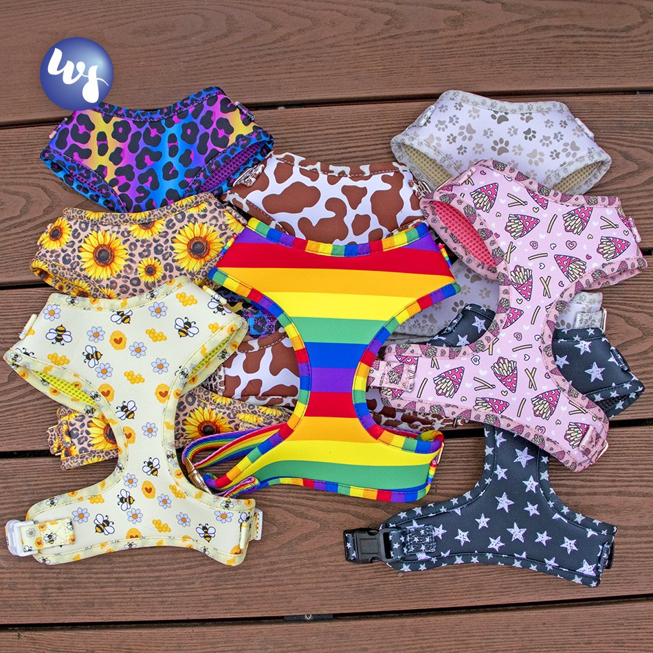 Hot seller custom design luxury pet dog harness wholesale doggie vest and six piece suit