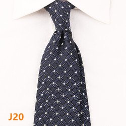 J20