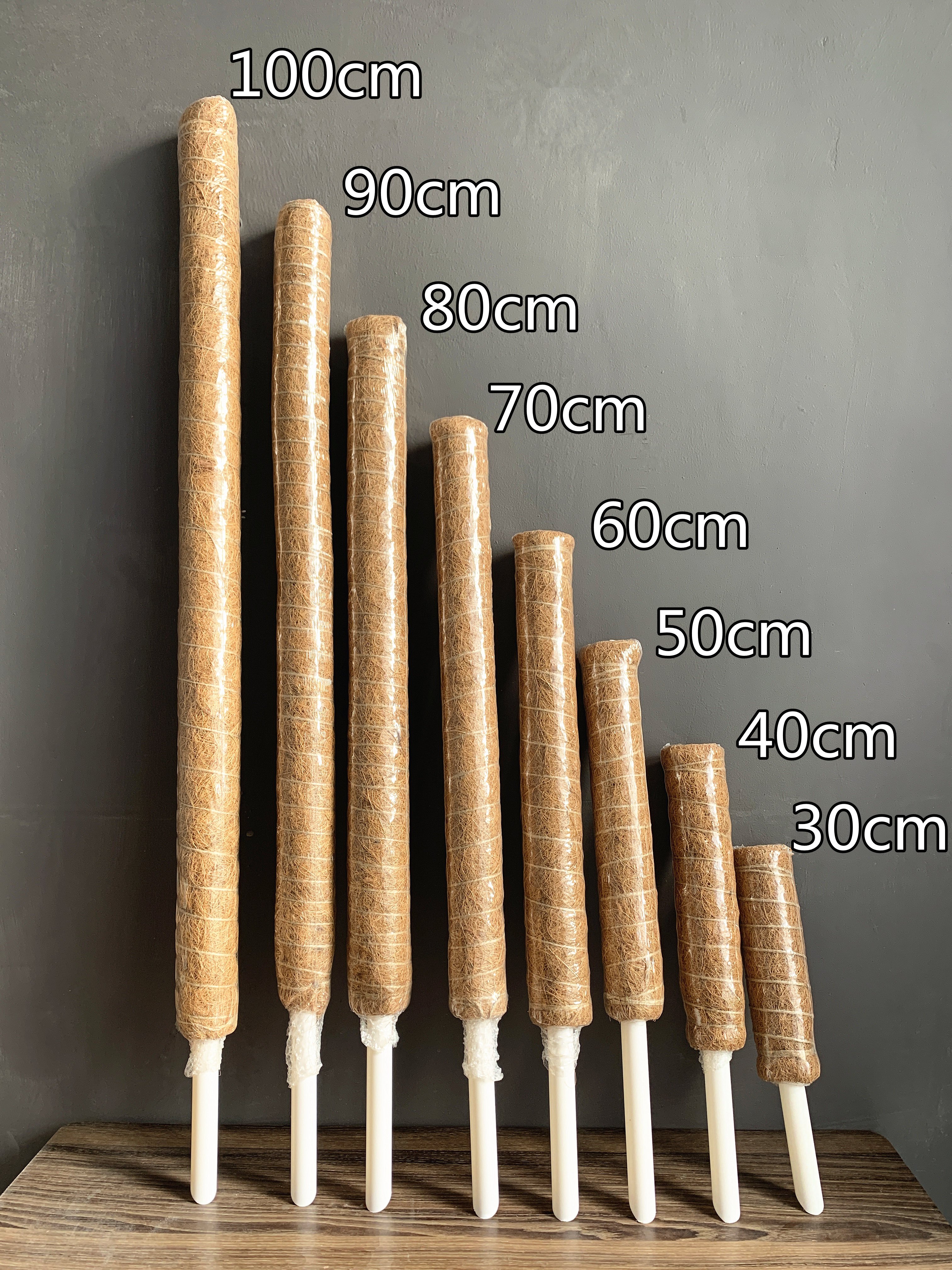Plant Climbing Coir Fiber Rods Stand Moss Pole Climbing Totem Pole Support Garden Twist Tie Monstera Potted Plants Grow Upwards
