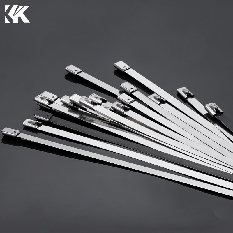 4.6X200mm SS304 Stainless Steel Cable Tie And Self Locking Stainless Steel Cable Tie With ISO9001